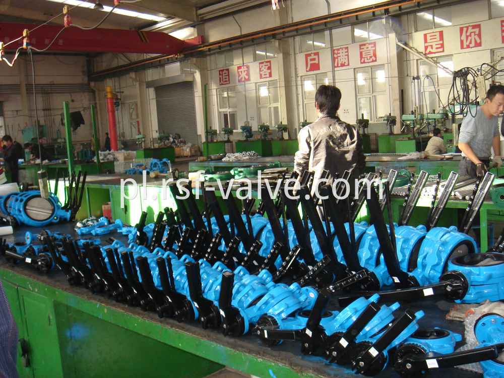 Wafer Type Butterfly Valve 3